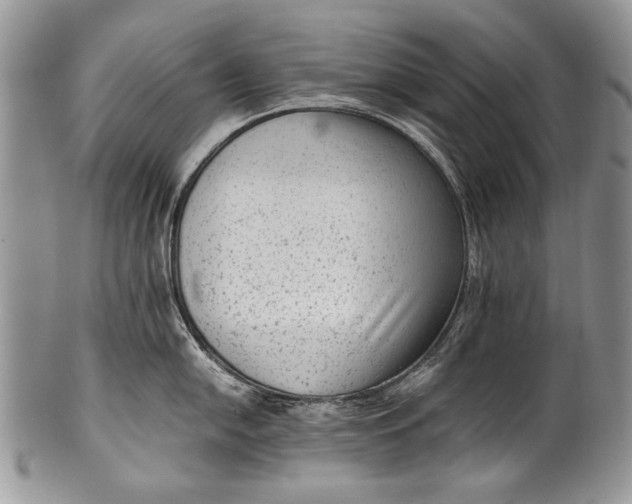 X0000100351054200806201537