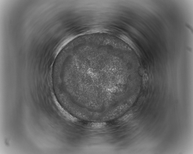 X0000100351055200806201537