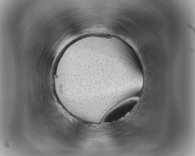 X0000100351056200806201537