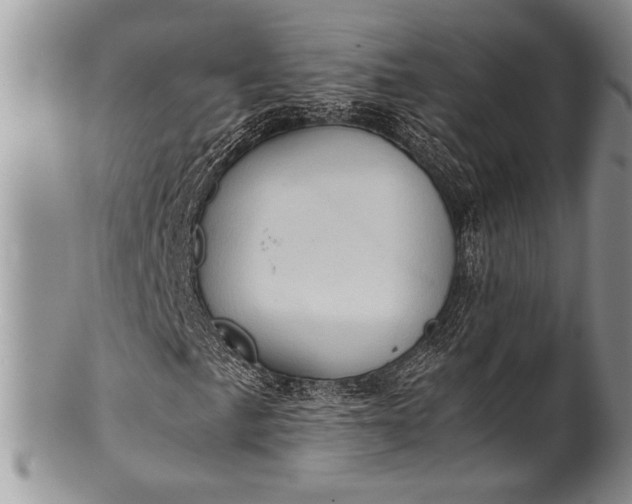 X0000100351057200806201536