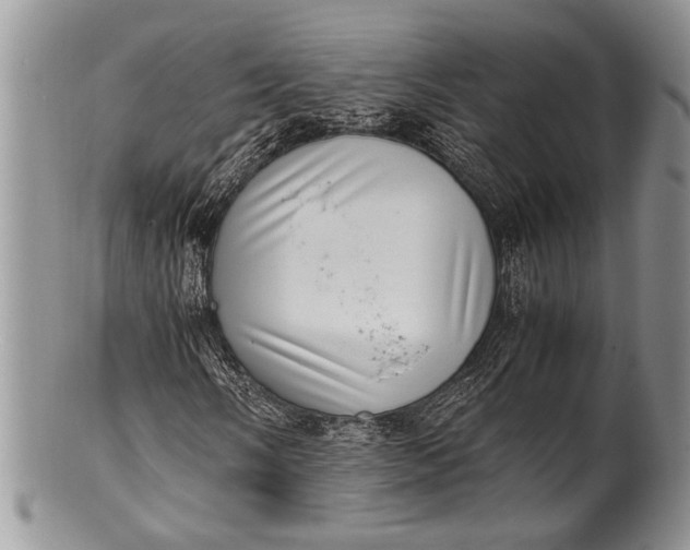 X0000100351058200806201536