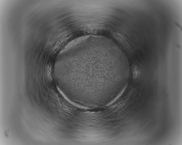 X0000100351060200806201536