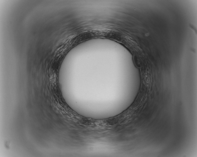 X0000100351061200806201536