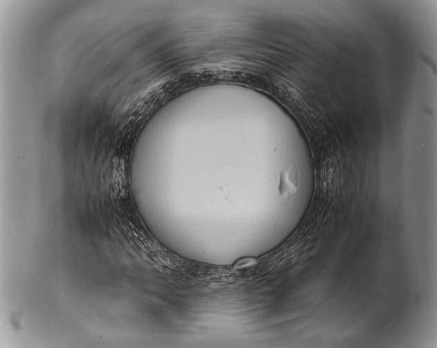 X0000100351062200806201536