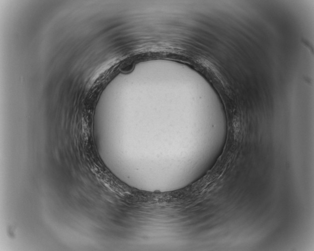 X0000100351064200806201536