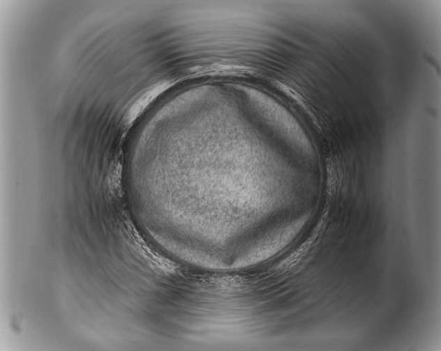 X0000100351066200806201536
