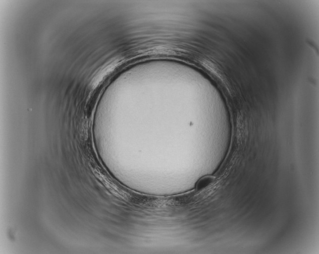 X0000100351067200806201536