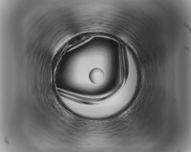 X0000100351069200806201536
