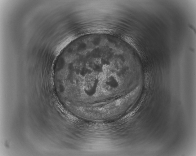 X0000100351071200806201536