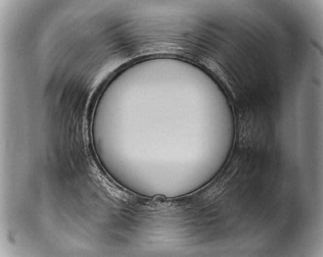 X0000100351072200806201536