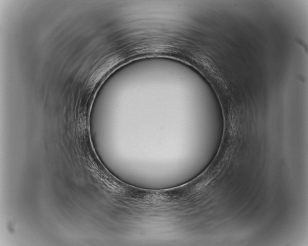 X0000100351073200806201536
