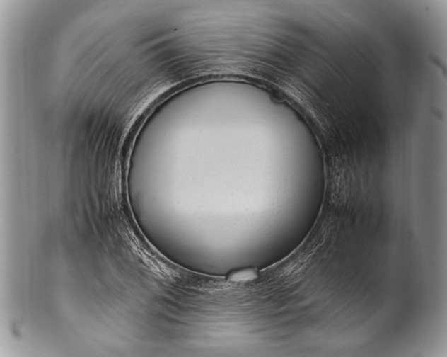 X0000100351076200806201536