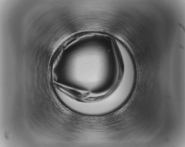 X0000100351077200806201536