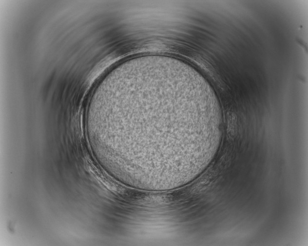 X0000100351078200806201536