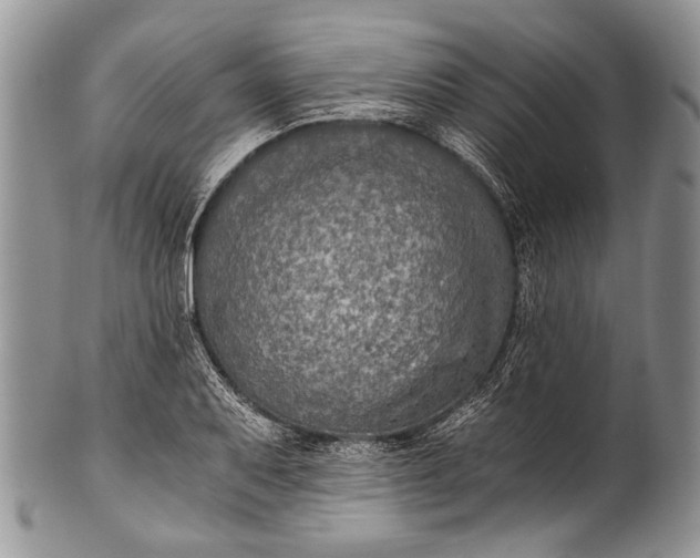 X0000100351079200806201536