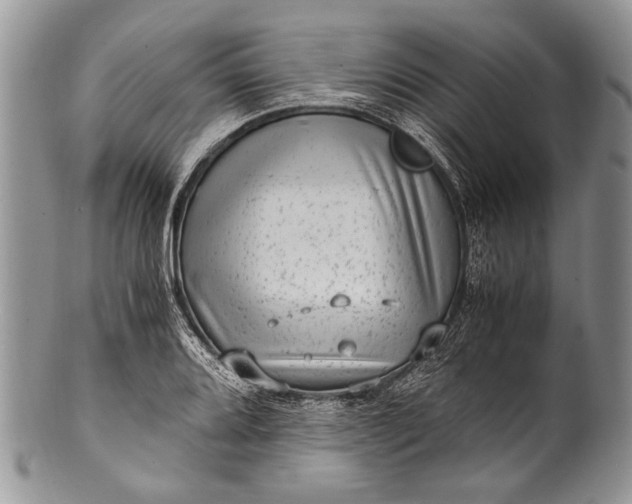 X0000100351080200806201536