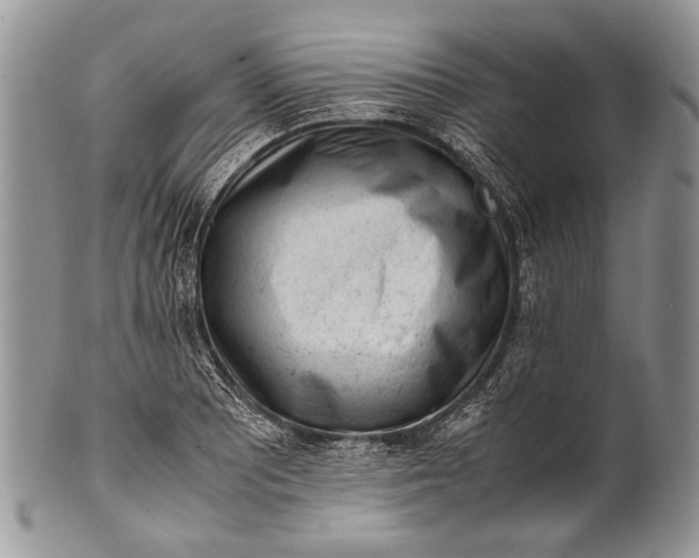 X0000100351081200806201536
