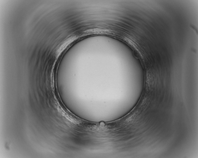X0000100351082200806201536