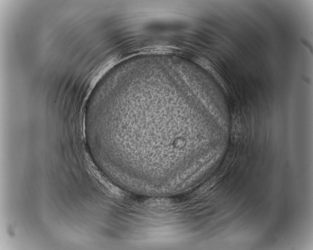 X0000100351083200806201536