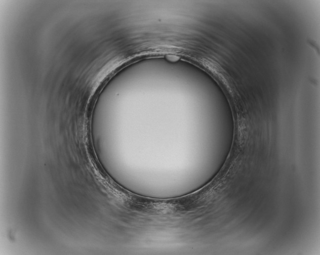 X0000100351085200806201536