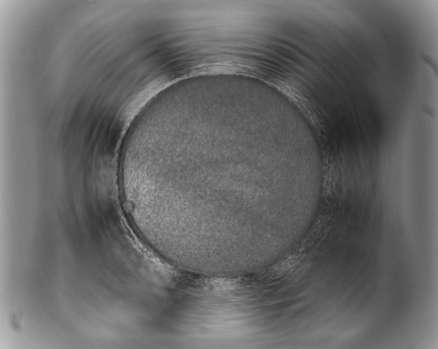 X0000100351086200806201536