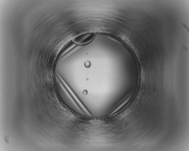 X0000100351089200806201536