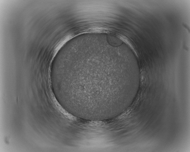 X0000100351091200806201536
