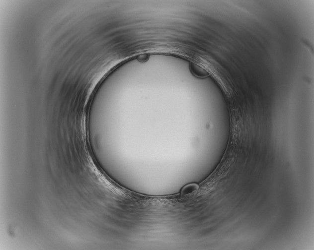 X0000100351092200806201536