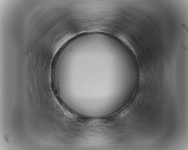 X0000100351093200806201536