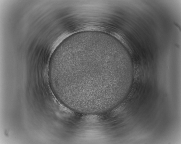 X0000100351094200806201536