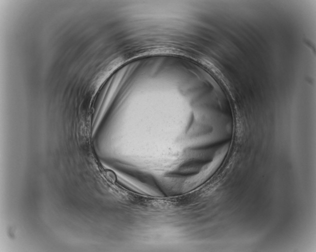 X0000100351097200806201535