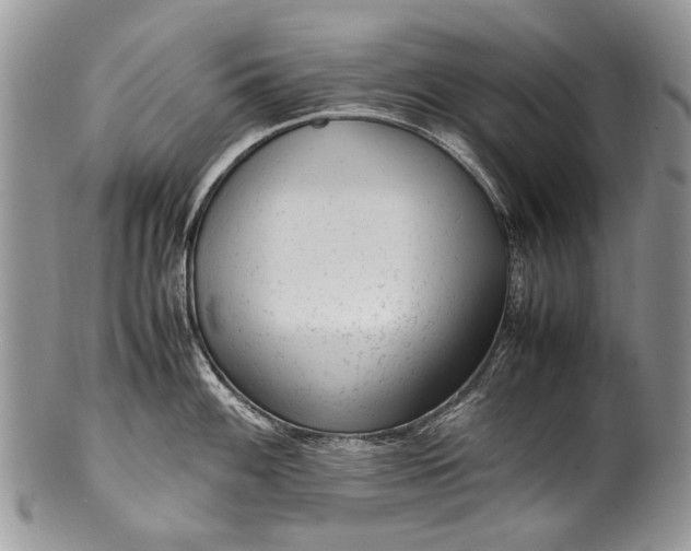 X0000100351100200806201535
