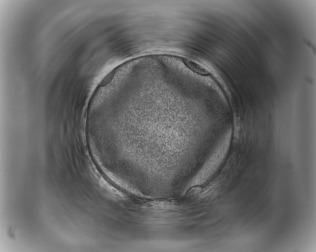 X0000100351102200806201535