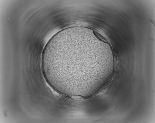 X0000100351103200806201535