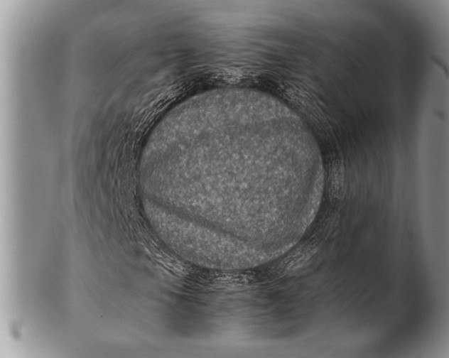 X0000100351105200806201535