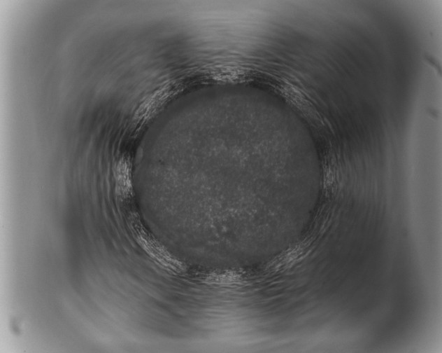 X0000100351106200806201535