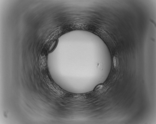 X0000100351107200806201535