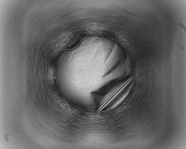 X0000100351108200806201535