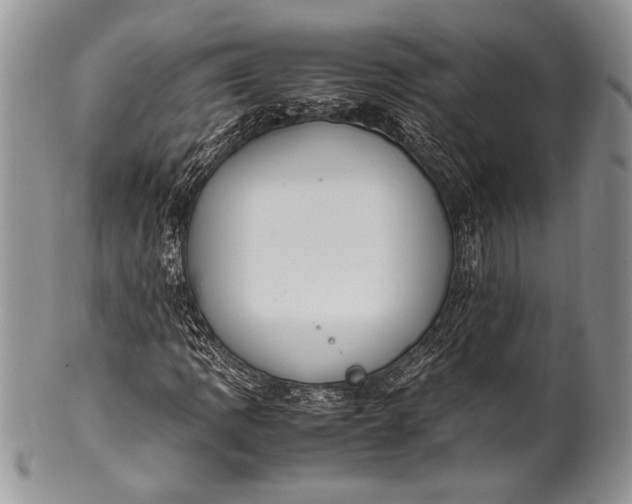 X0000100351109200806201535