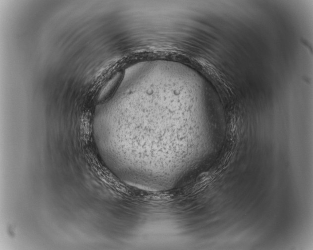 X0000100351110200806201535