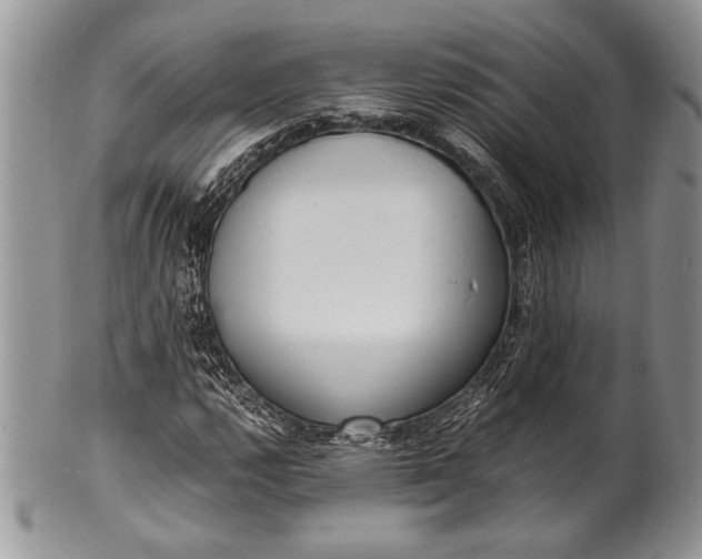 X0000100351112200806201535