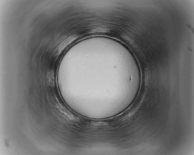 X0000100351113200806201535