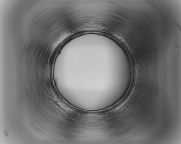 X0000100351114200806201535