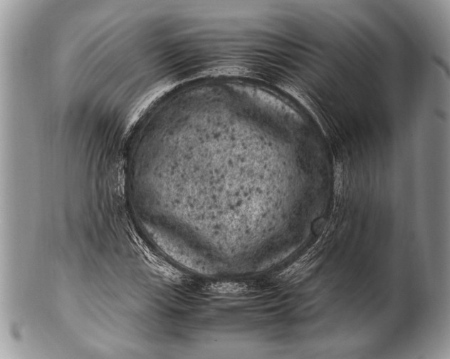 X0000100351115200806201535