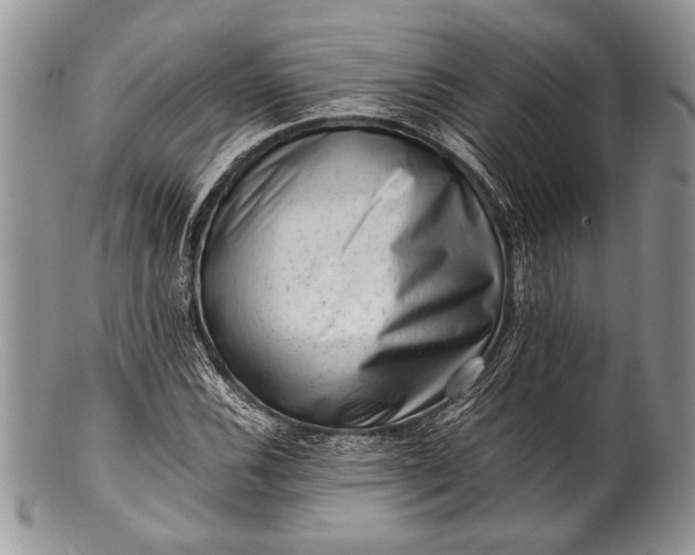 X0000100351116200806201535