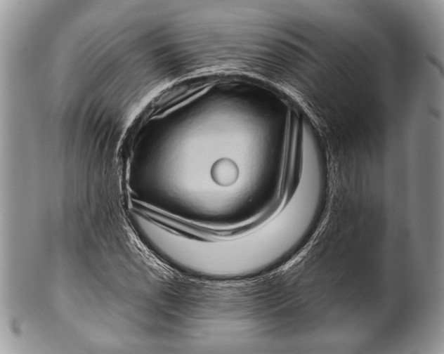 X0000100351118200806201535