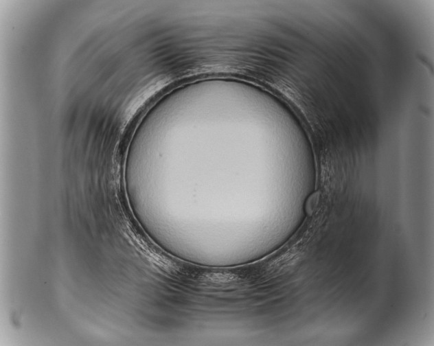 X0000100351119200806201535