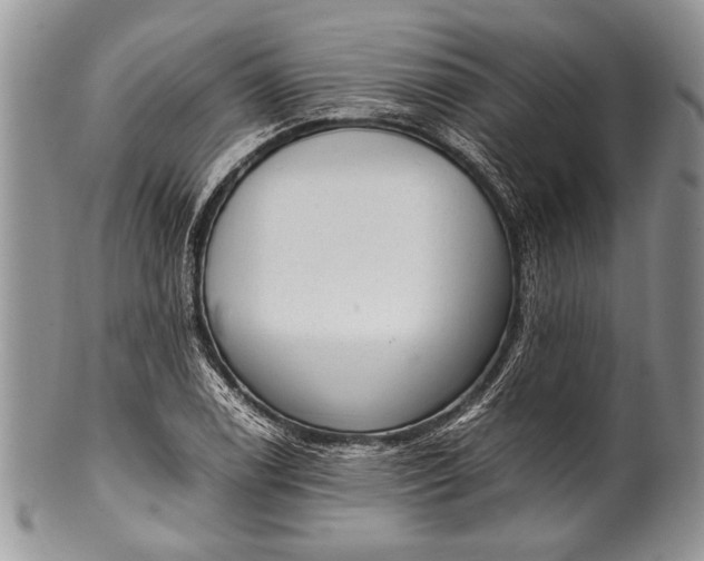 X0000100351122200806201535