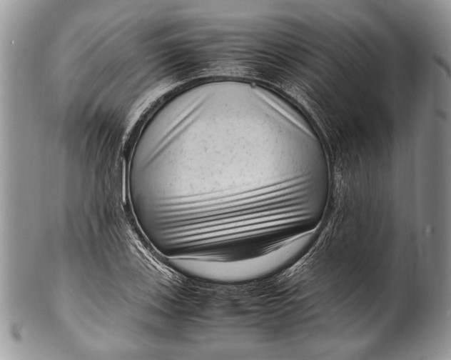 X0000100351123200806201535