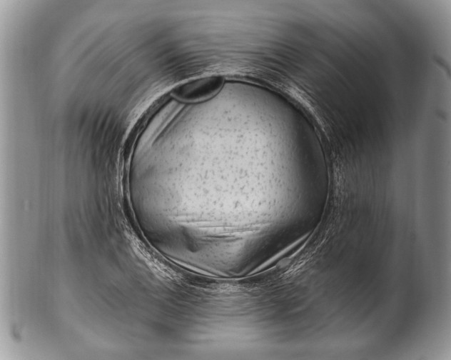 X0000100351124200806201535
